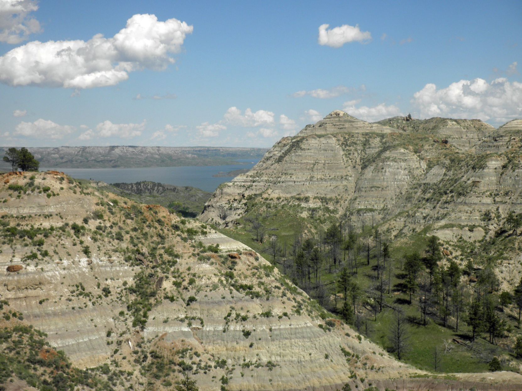 Dinosaur refuge